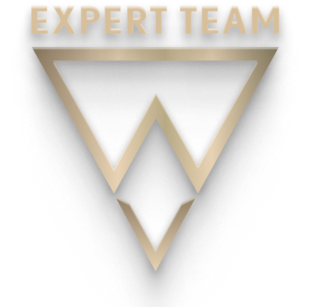 Webinar Expert Team